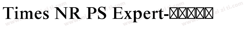 Times NR PS Expert字体转换